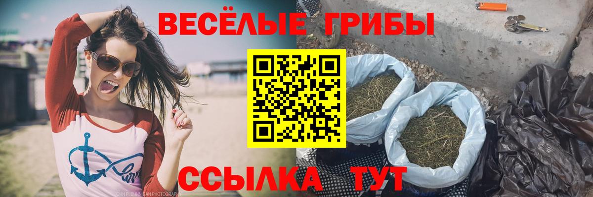Галлюциногенные грибы мухоморы  Вход с VPN  Елабуга  Галлюциногенные грибы прущие грибы 